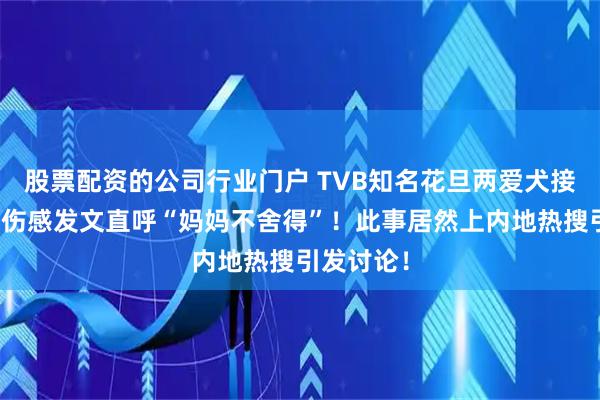 股票配资的公司行业门户 TVB知名花旦两爱犬接连离世！伤感发文直呼“妈妈不舍得”！此事居然上内地热搜引发讨论！
